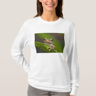 Common coqui, Eleutherodactylus coqui T-Shirt