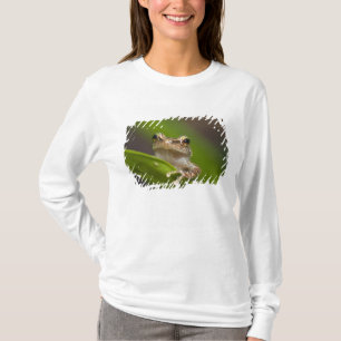 Common coqui, Eleutherodactylus coqui T-Shirt