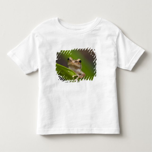 Common coqui, Eleutherodactylus coqui Toddler T-Shirt (Front)