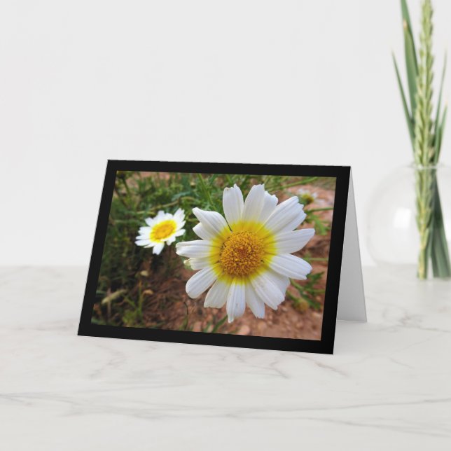 Common Daisies Card (Front)