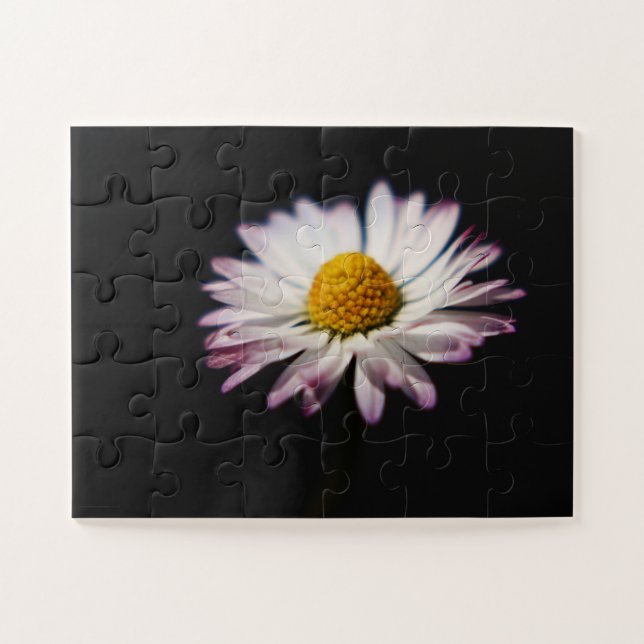 Common Daisy 11x14 30pc jpcn Jigsaw Puzzle (Horizontal)