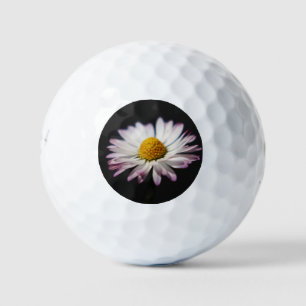 Common Daisy be6 gbcnm Golf Balls