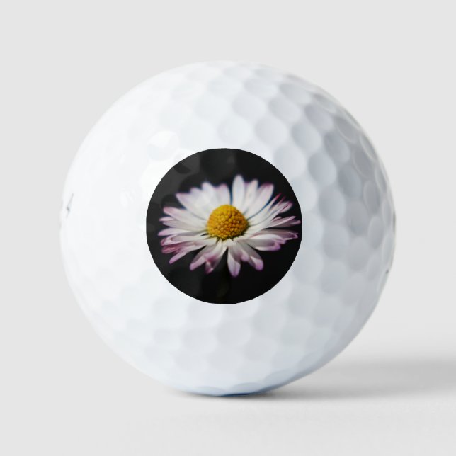 Common Daisy be6 gbcnm Golf Balls (Front)