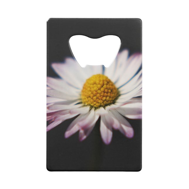 Common Daisy bocna (Front)