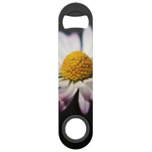 Common Daisy bocna