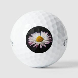 Common Daisy css gbcna Golf Balls
