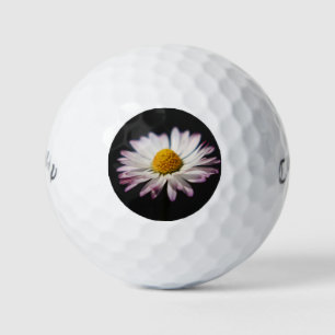 Common Daisy cwb gbcnm Golf Balls