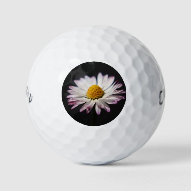Common Daisy cwb gbcnm Golf Balls (Front)