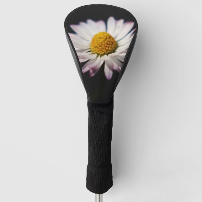 Common Daisy dccna Golf Head Cover (Front)