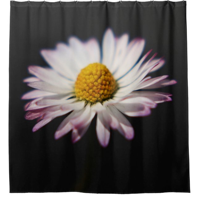 Common Daisy sccnm Shower Curtain (Front)