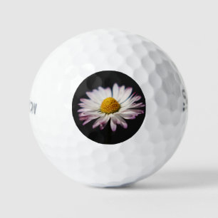 Common Daisy ssf gbcnm Golf Balls