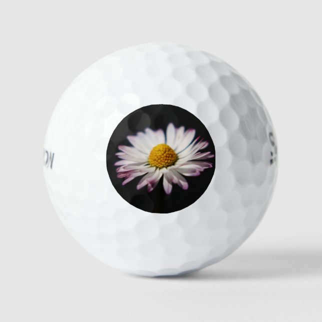 Common Daisy ssf gbcnm Golf Balls (Front)