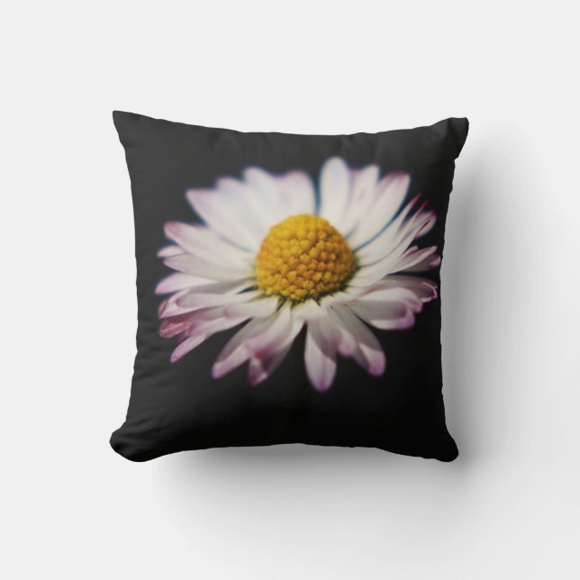 Common Daisy tpcna Cushion (Front)