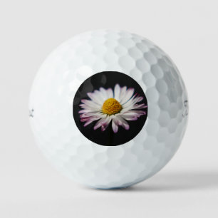 Common Daisy tpv1 gbcna Golf Balls