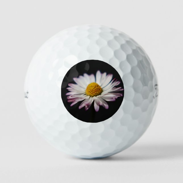 Common Daisy tpv1 gbcnm Golf Balls (Front)