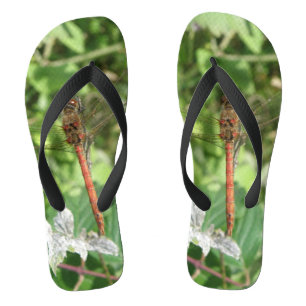 Common Darter Dragonfly Flip Flops