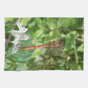 Common Darter Dragonfly Kitchen Towel