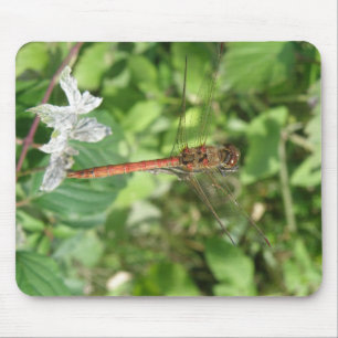 Common Darter Dragonfly Mousepad