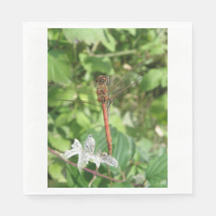 Common Darter Dragonfly Napkins