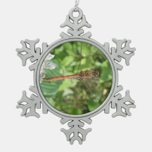 Common Darter Dragonfly Ornament