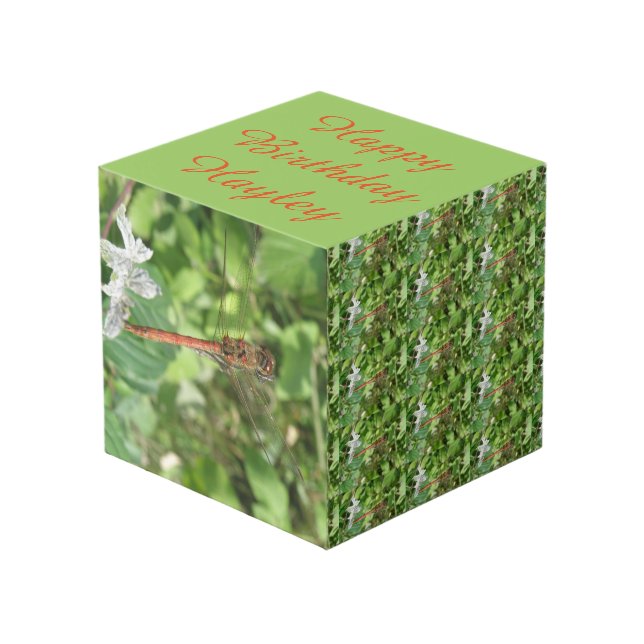 Common darter Dragonfly Personalised Cube (Front Angled)