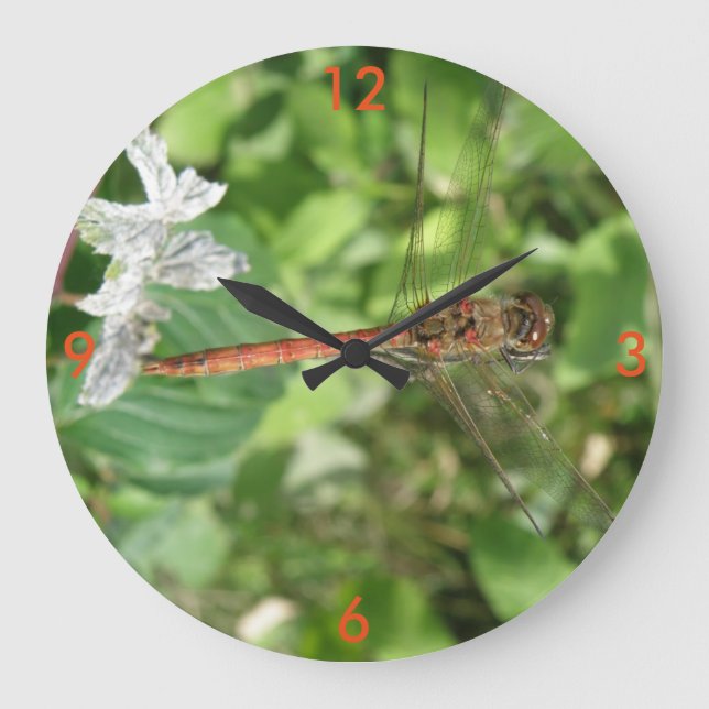 Common Darter Dragonfly Wall Clock (Front)