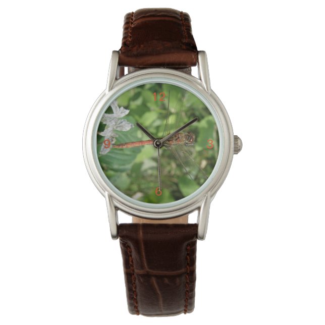 Common Darter Dragonfly Watch (Front)