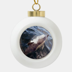 Common Dolphin Ceramic Ball Christmas Ornament