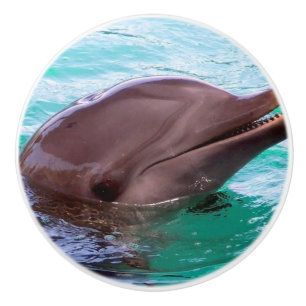 Common Dolphin Ceramic Knob