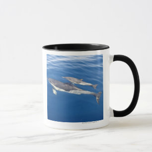 Common Dolphin in the strait Mug