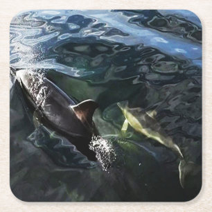 Common Dolphin Mum and Baby Coaster