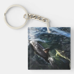 Common Dolphin Mum and Baby Key Ring