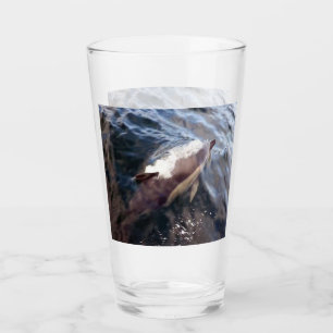 Common Dolphin Surfacing Glass