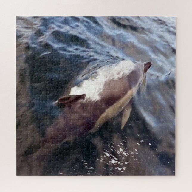 Common Dolphin Surfacing Jigsaw Puzzle (Horizontal)