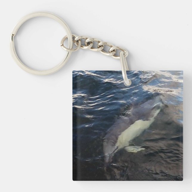 Common Dolphin Swimming  Key Ring (Front)