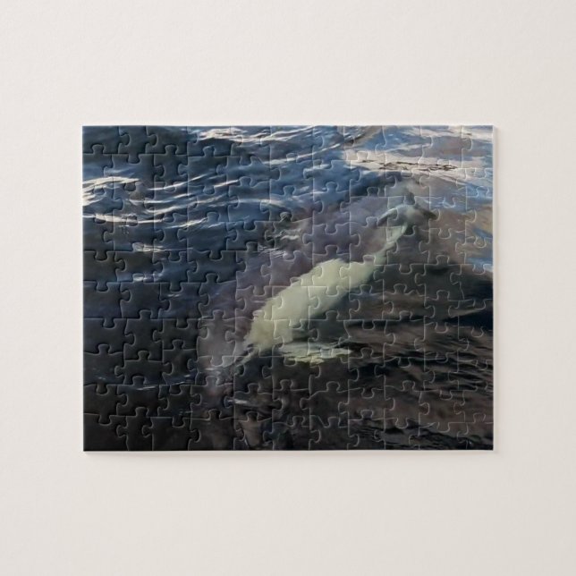 Common Dolphin Swimming Ocean Wildlife Photography Jigsaw Puzzle (Horizontal)
