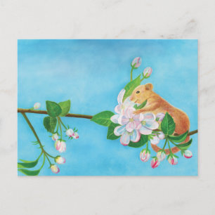 Common Dormouse on blooming branch of apple tree Holiday Postcard