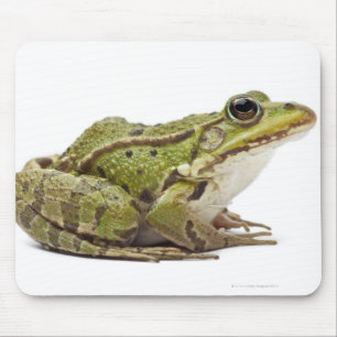 Common European frog or Edible Frog Mouse Pad