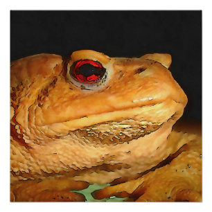 Common European Toad Bufo Bufo Black Outline Art Poster