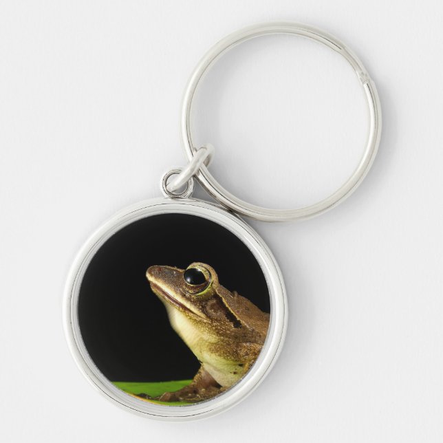 Common Frog on a Leaf Key Ring (Front)
