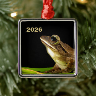 Common Frog on a Leaf Metal Tree Decoration