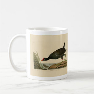 Common Gallinule from Audubon's Birds of America Coffee Mug