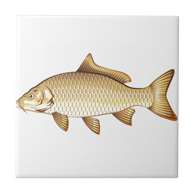 Common Golden Carp Vector Art Tile (Front)