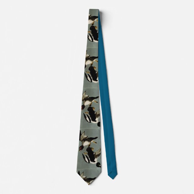 Common goldeneye sea duck  tie (Front)