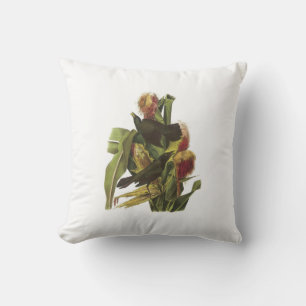 Common Grackle by Audubon Cushion