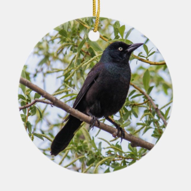 Common Grackle Ceramic Tree Decoration (Front)