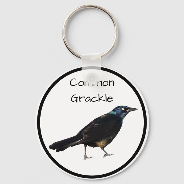 Common Grackle Key Ring (Front)