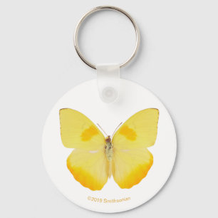 Common Grass Yellow Butterfly Key Ring