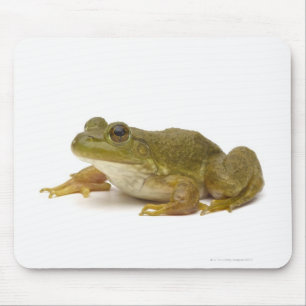 Common Green Frog Mouse Pad