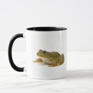 Common Green Frog Mug